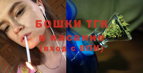 гашик Алексеевка