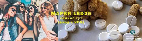 гашик Алексеевка
